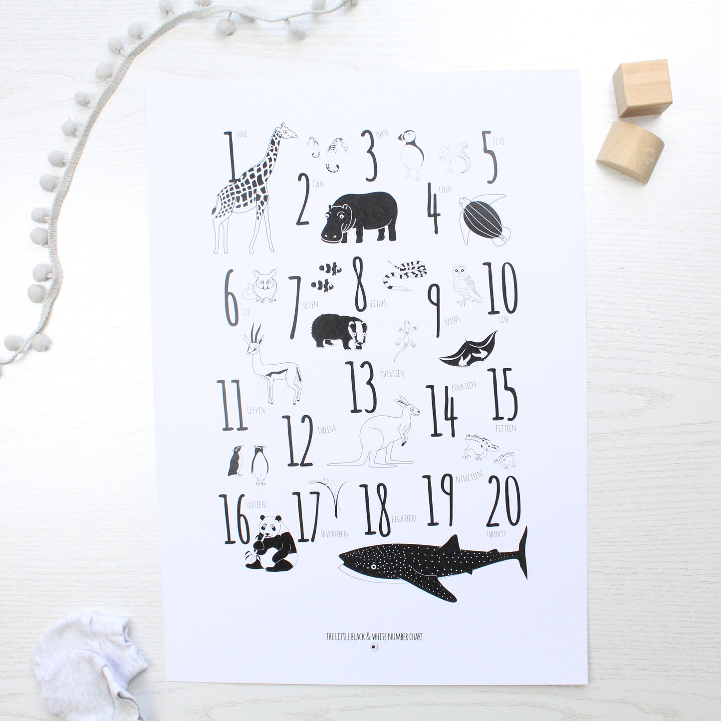 Animal Number Print