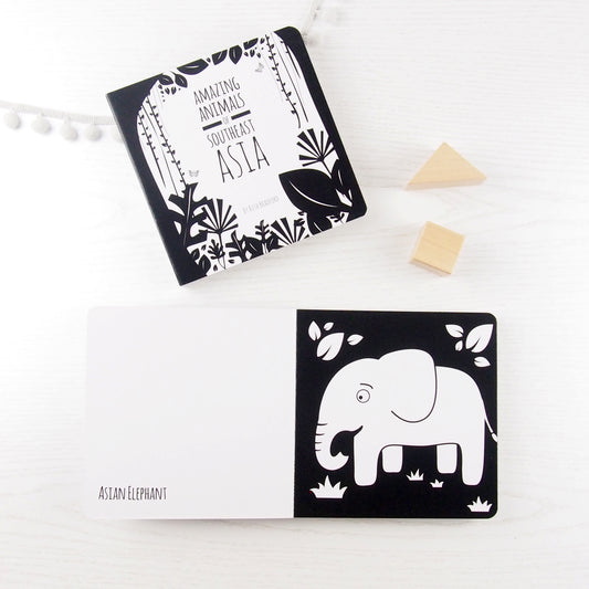 Baby Board Book - Animals from South East Asia