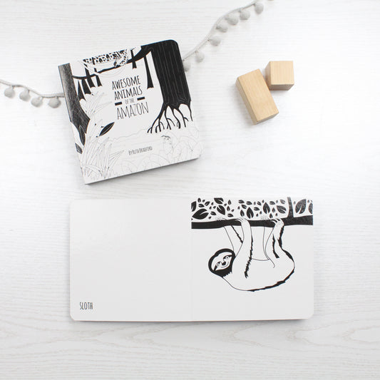 Baby Board Book - Animals from the Amazon