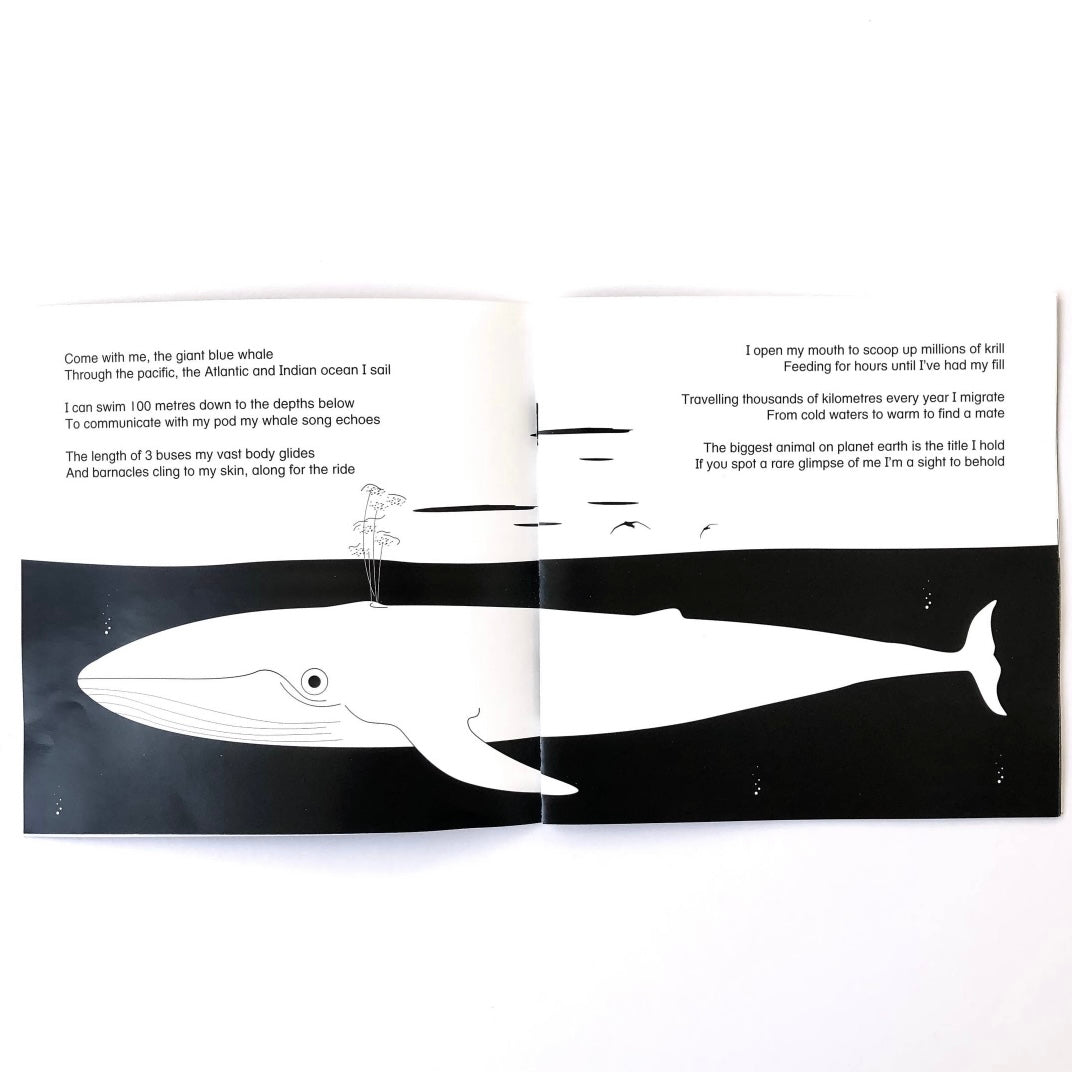 Come Dive With Me - Story Book