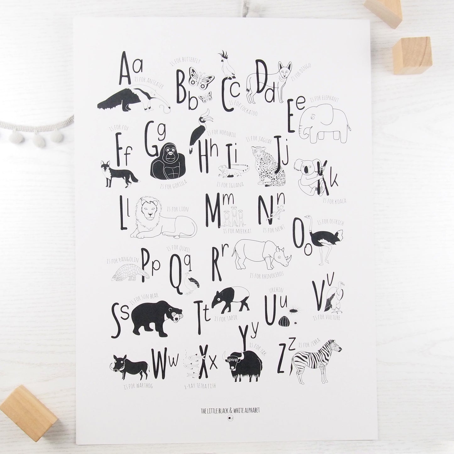 Animal Alphabet Print