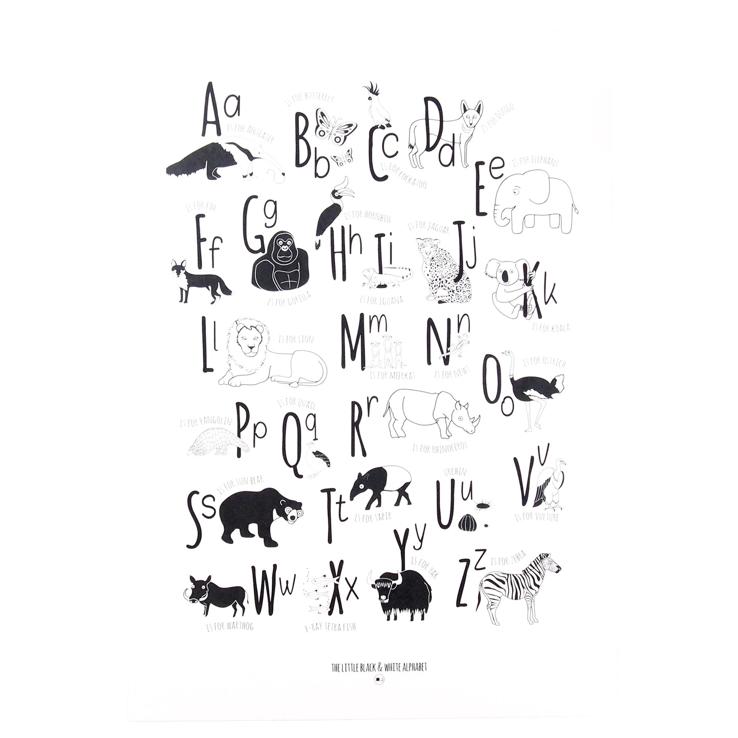 Animal Alphabet Print