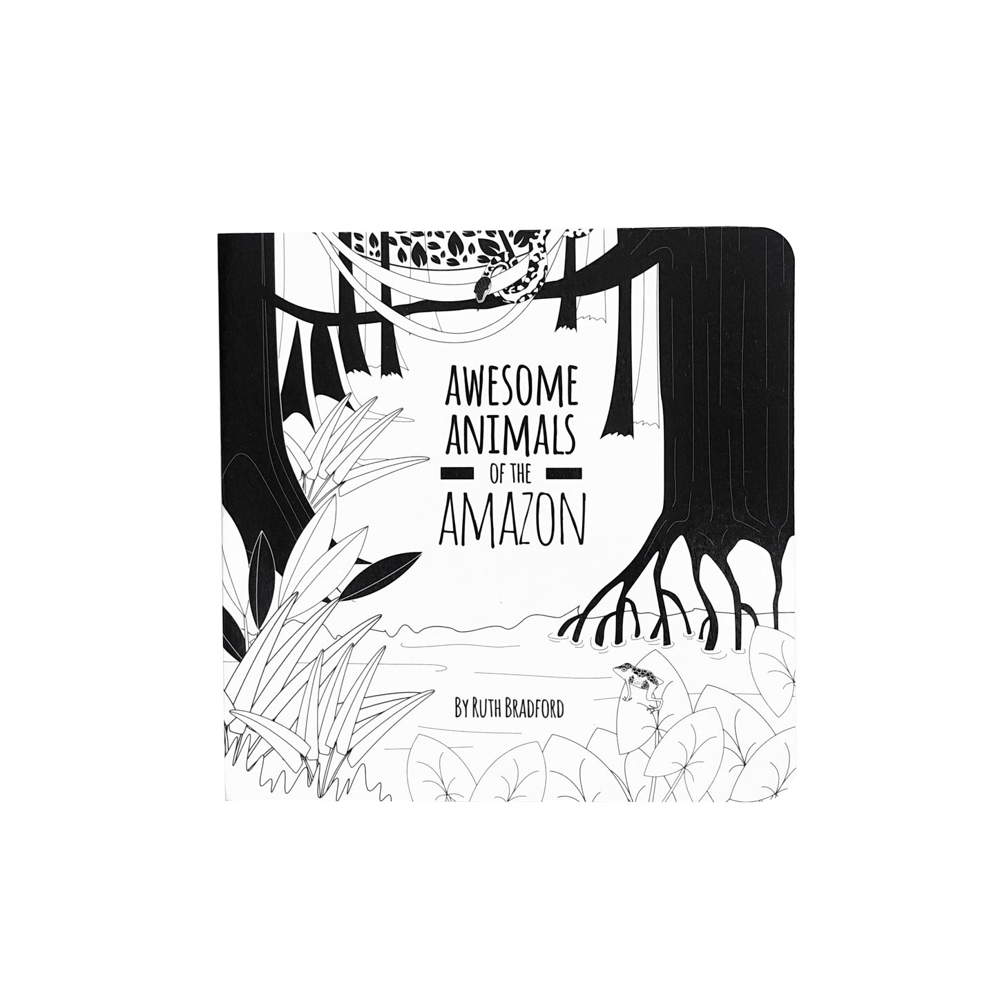 Baby Board Book - Animals from the Amazon